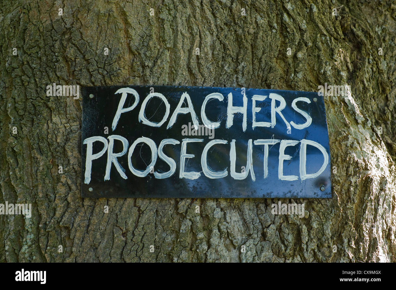 POACHERS PROSECUTED sign on banks of River Usk at Llanellen Bridge near Abergavenny Monmouthshire South Wales UK Stock Photo