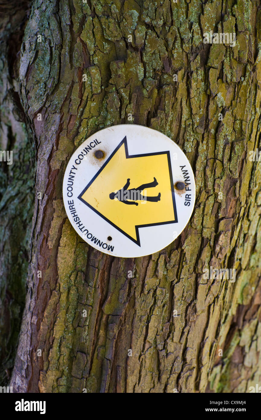 Footpath direction sign nailed to tree on Usk Valley walk Monmouthshire ...
