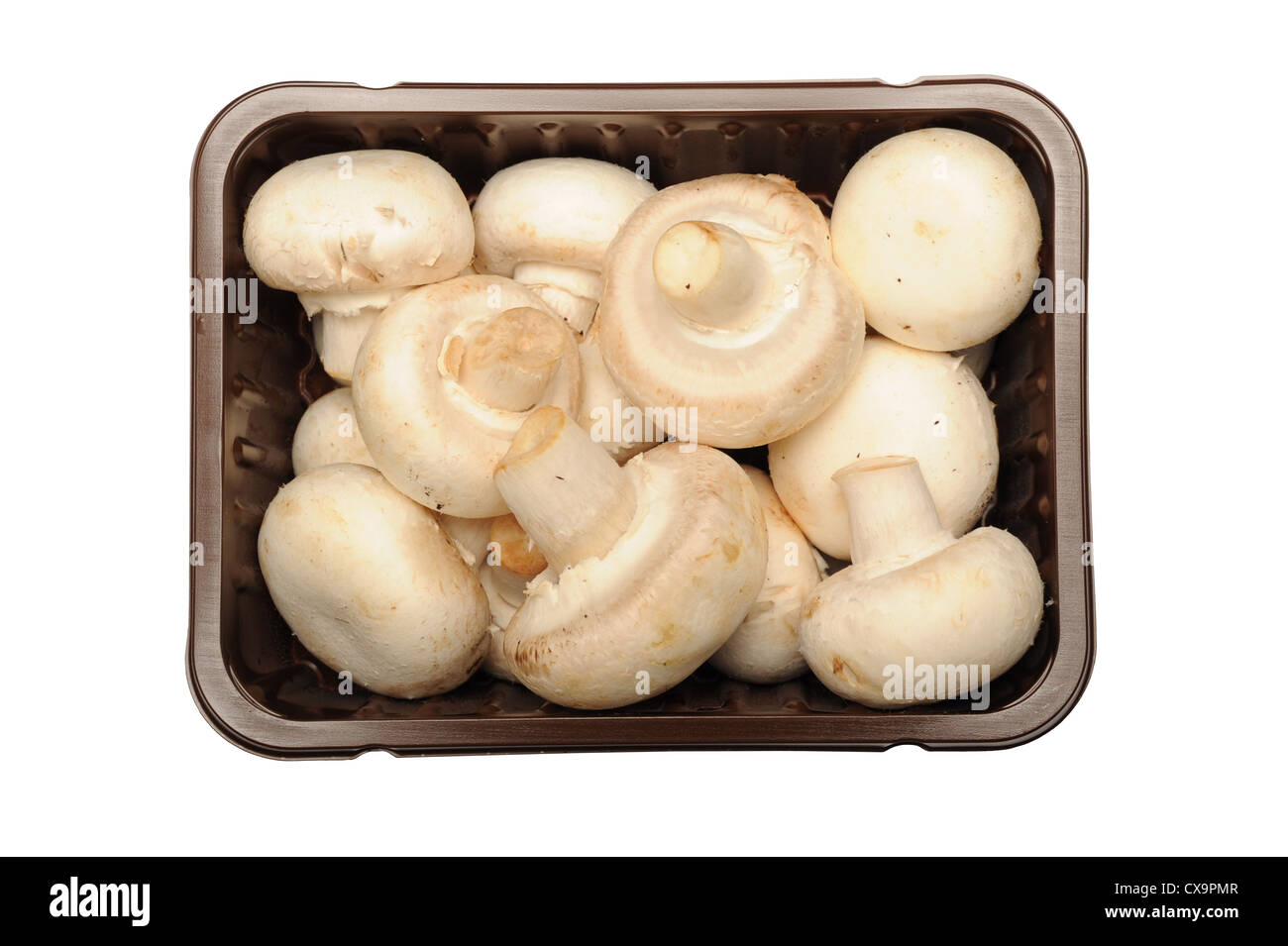 Photograph of mushrooms in packaging Stock Photo