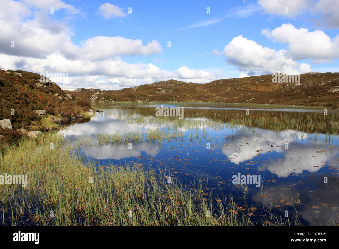 View North from the West side of Dock Tarn near Watendlath in the Lake District, Cumbria, England, United Kingdom. Stock Photo