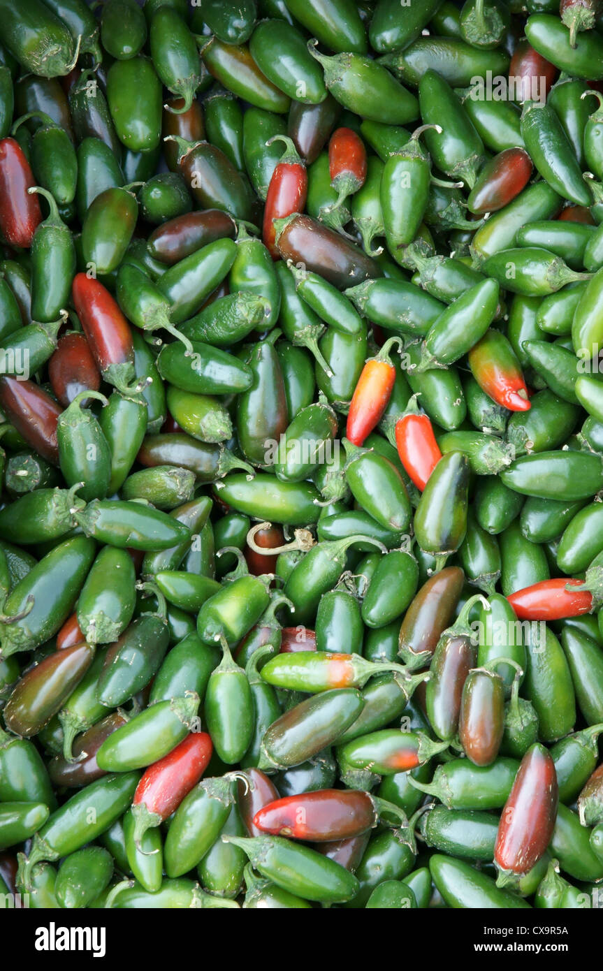 still life of jalapenos peppers market outside component depict depiction describe description design detail Stock Photo
