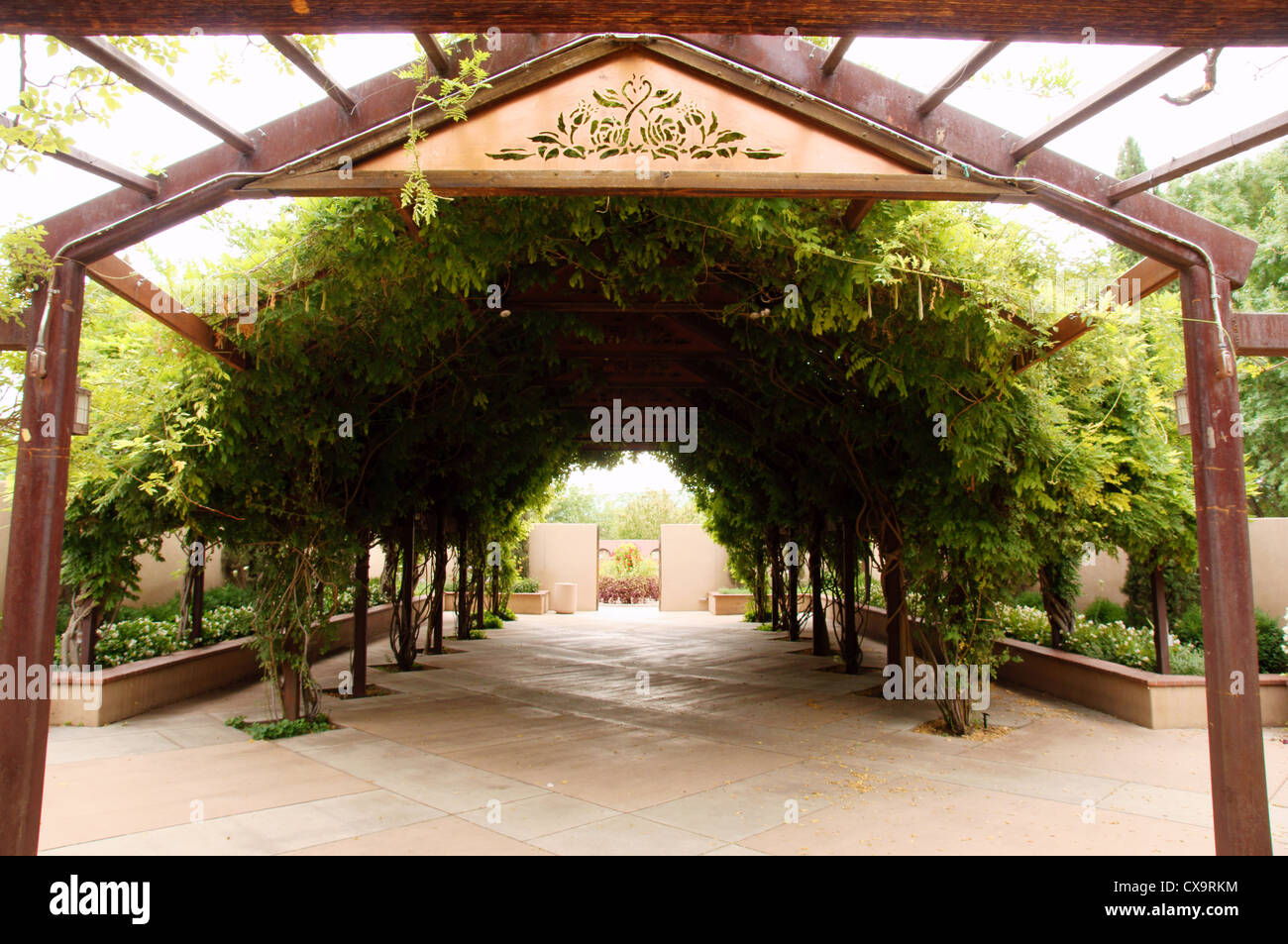 Plants And Trellis At Ceremonial Garden Botanical Gardens