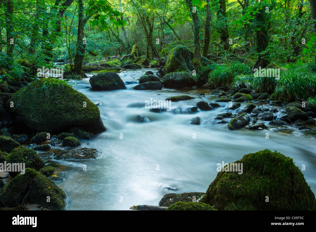River Teign at Fingle Bridge Devon Stock Photo - Alamy