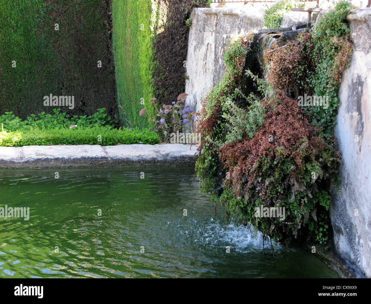 Water cascades from upper pool to lower pool in Alcazar gardens, within Alcazar de los Reyes Cristianos. Stock Photo