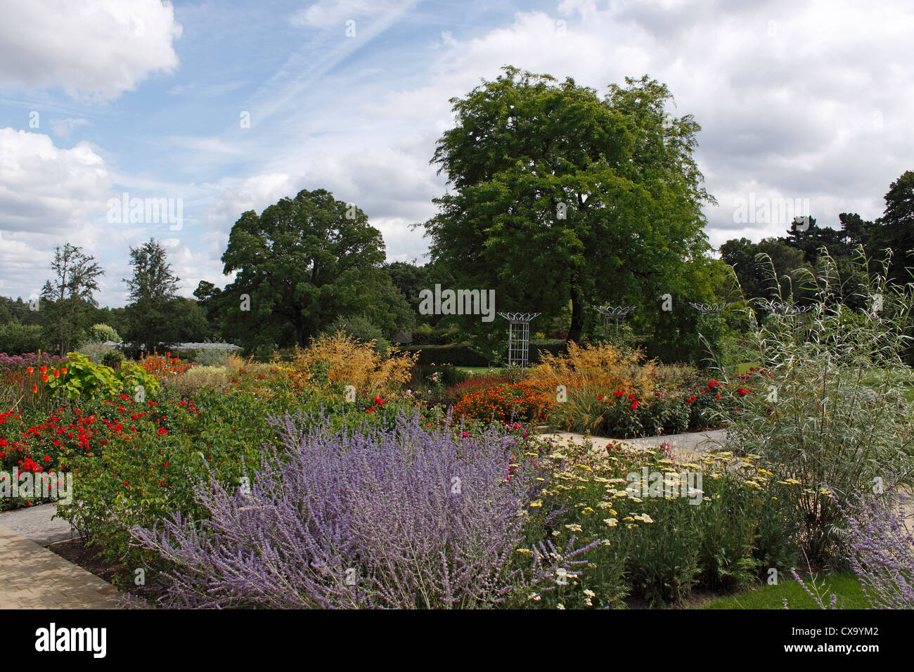 COLOURFUL SUMMER FLOWER BEDS IN BLOOM Stock Photo Alamy