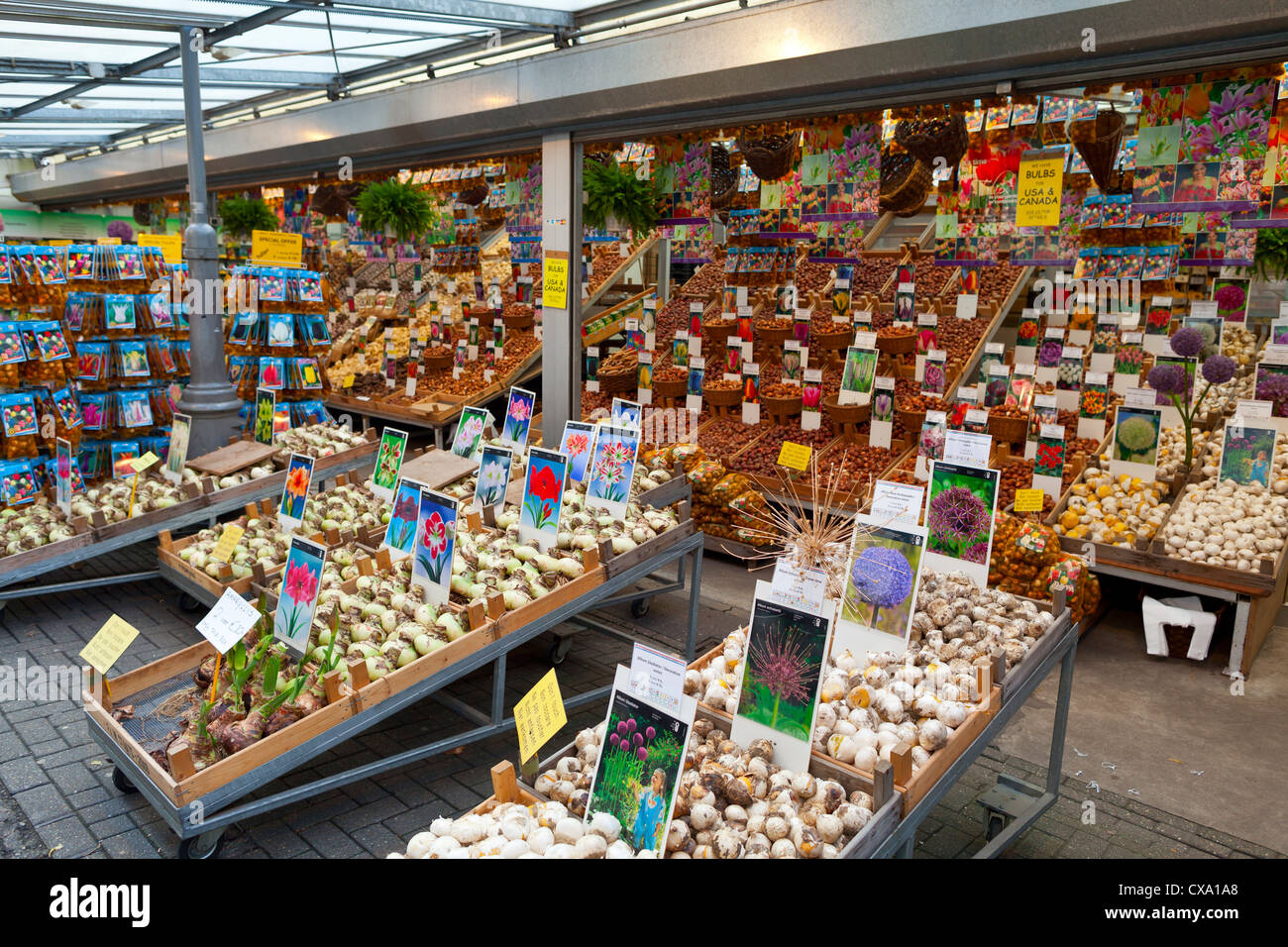 Flower market - Amsterdam, Netherlands, Europe Stock Photo