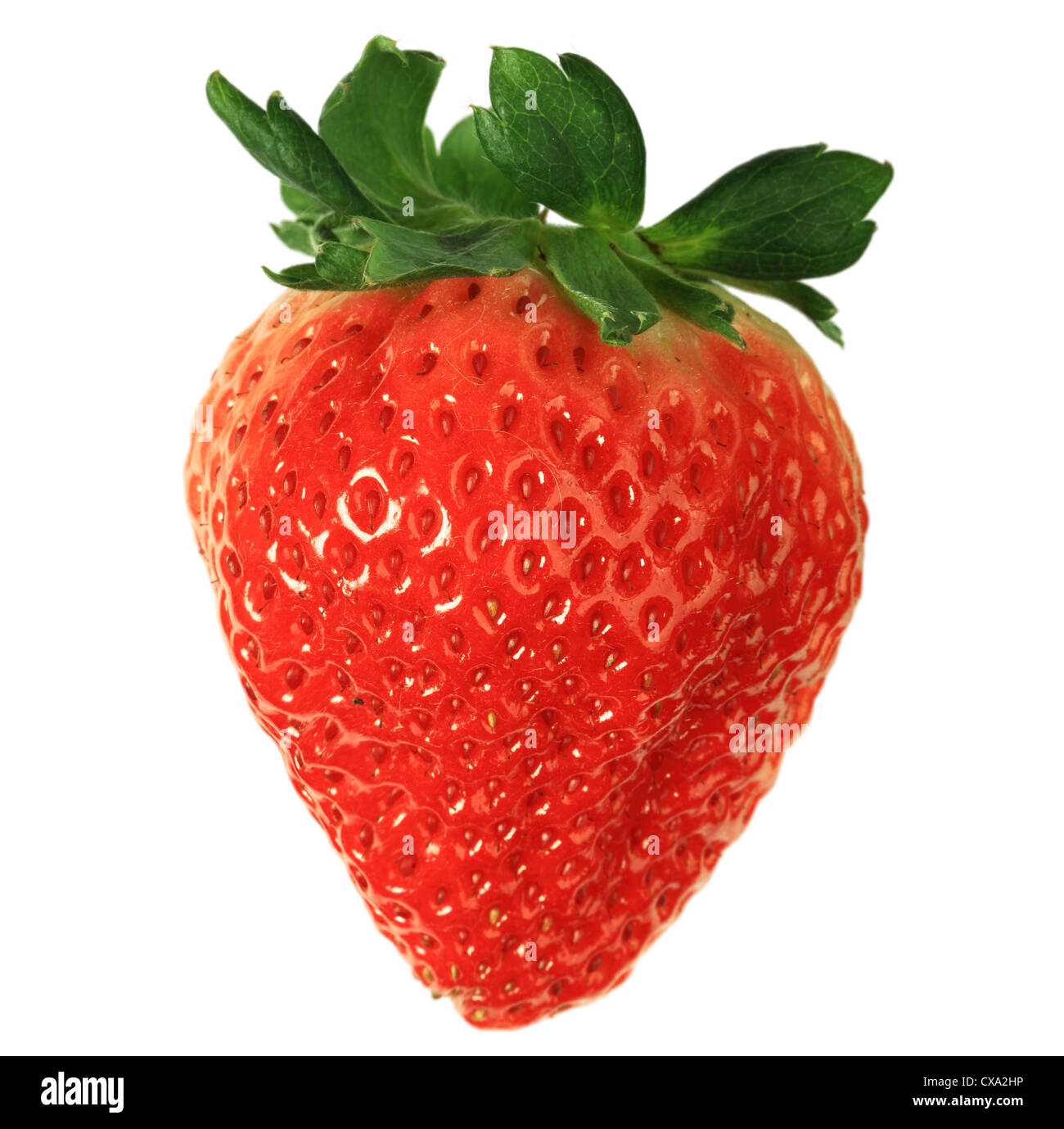 Closeup of a red fresh strawberry on white background Stock Photo - Alamy