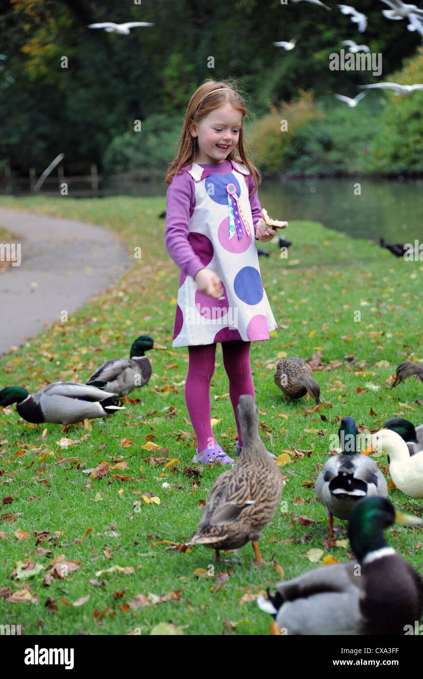 A young girl wearing a bright spotted dress feeding bread to ducks on a riverbank in Hubbard's Hills in Autumn. Stock Photo
