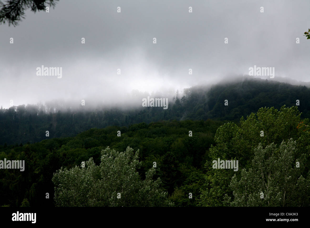 Fog foggy weather day daytime hi-res stock photography and images - Alamy