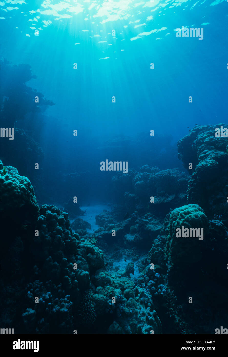 Sunlight on coral reef. Egypt, Red Sea Stock Photo