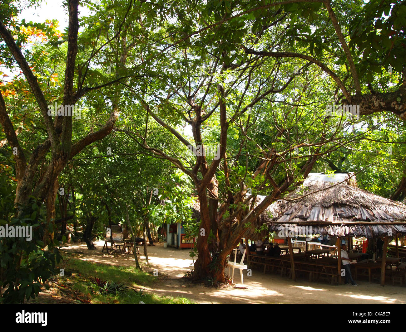 A cottage in a forest Stock Photo