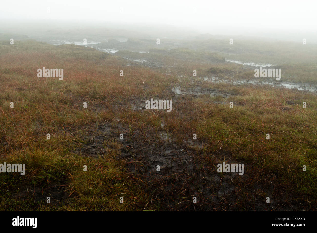 Bleak foggy moorland landscape. Dense fog over wet peat bog moors around Brown Knoll, Derbyshire, Peak District National Park, England, UK Stock Photo