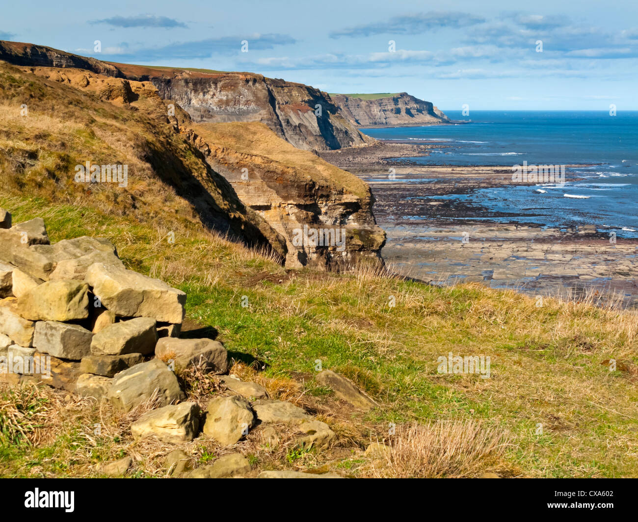 View looking north on the cliffs between Robin Hood's Bay and Whitby part of the Cleveland Way on the North Yorkshire coast UK Stock Photo