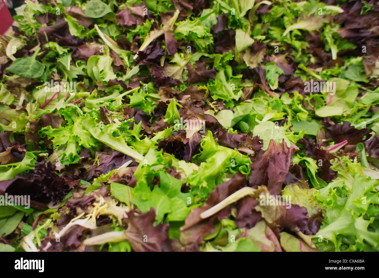 Grown in a jumble hires stock photography and images Alamy
