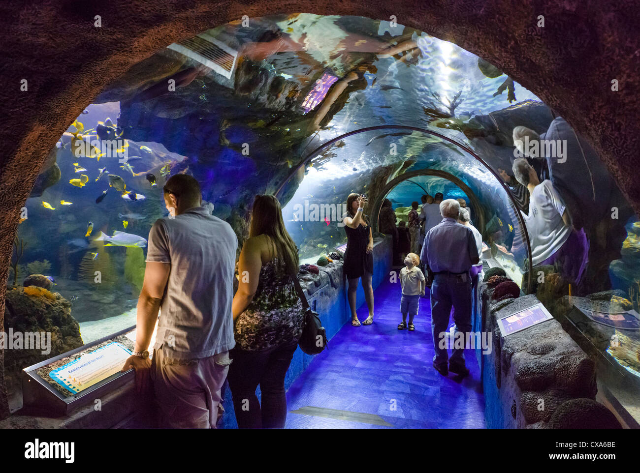 SEA LIFE Minnesota Aquarium at the Mall of America