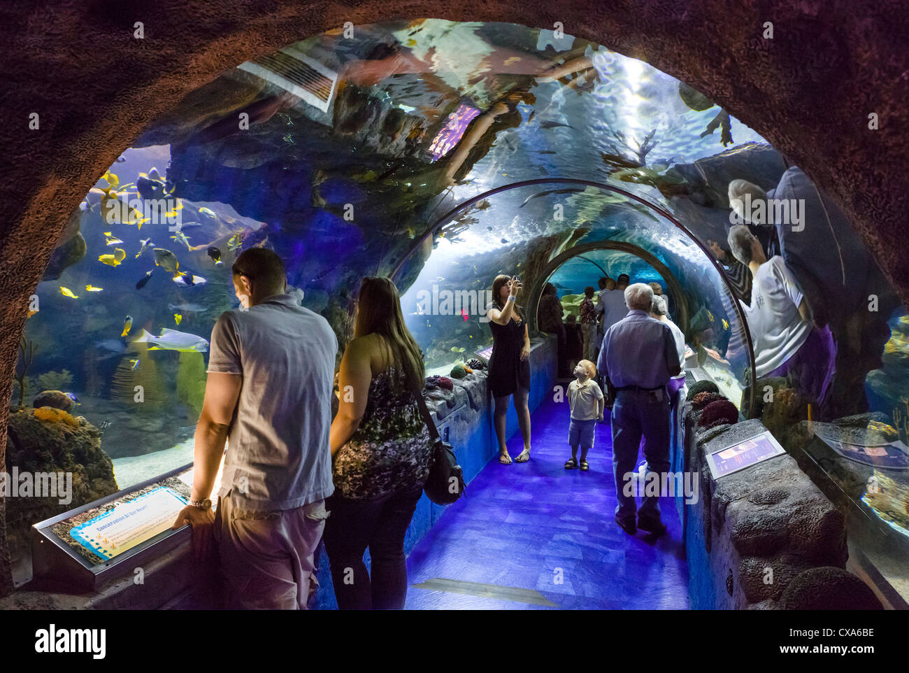 Sea Life Aquarium in the Mall of America, Bloomington, Minneapolis, Minnesota, USA Stock Photo
