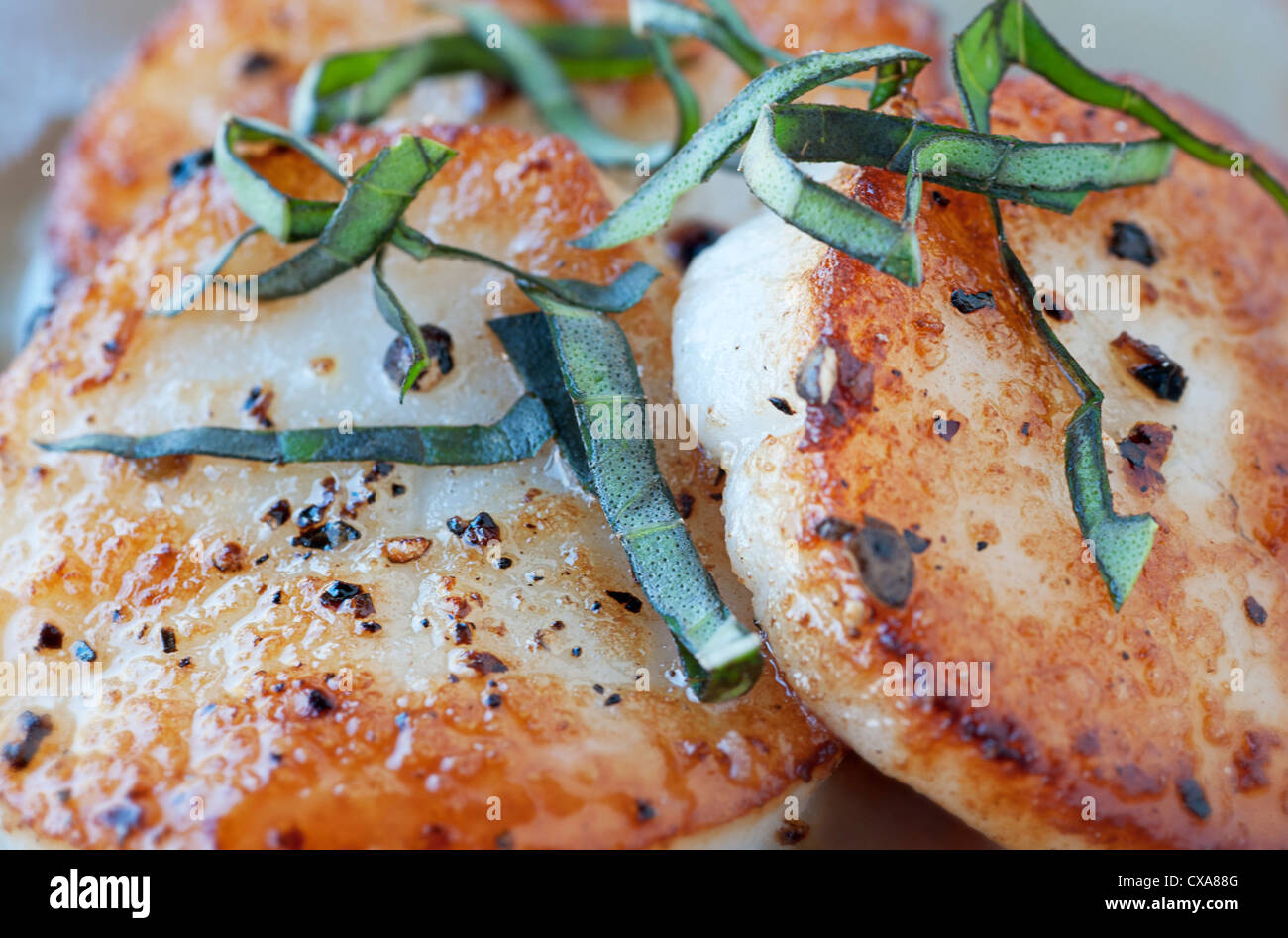Fresh scallop appetizer with plum sauce and basil Stock Photo