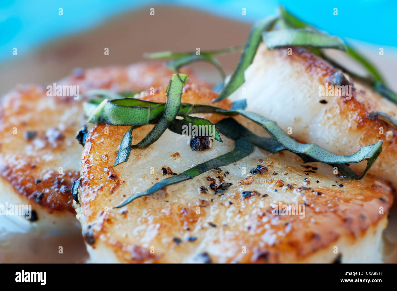 Fresh scallop appetizer with plum sauce and basil Stock Photo