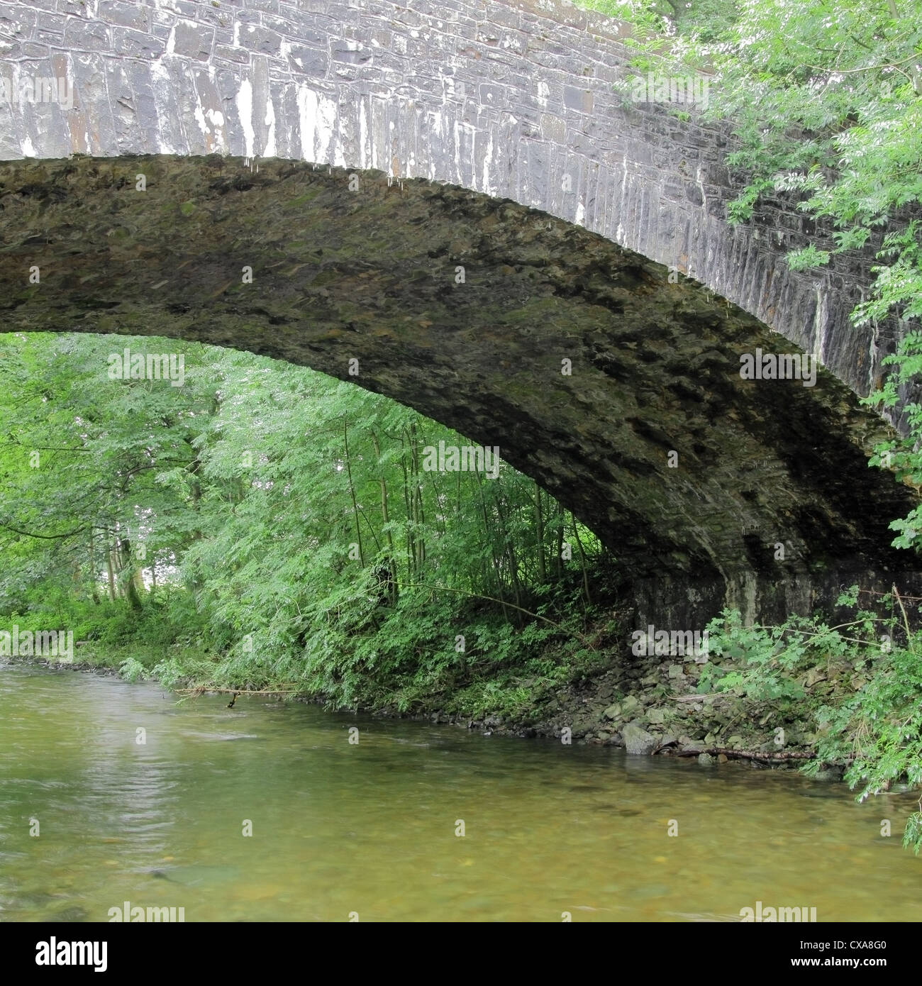 Old Stone Bridge Spanning Annan Water, Nr Moffat, Dumfries & Galloway, Scotland, UK Stock Photo