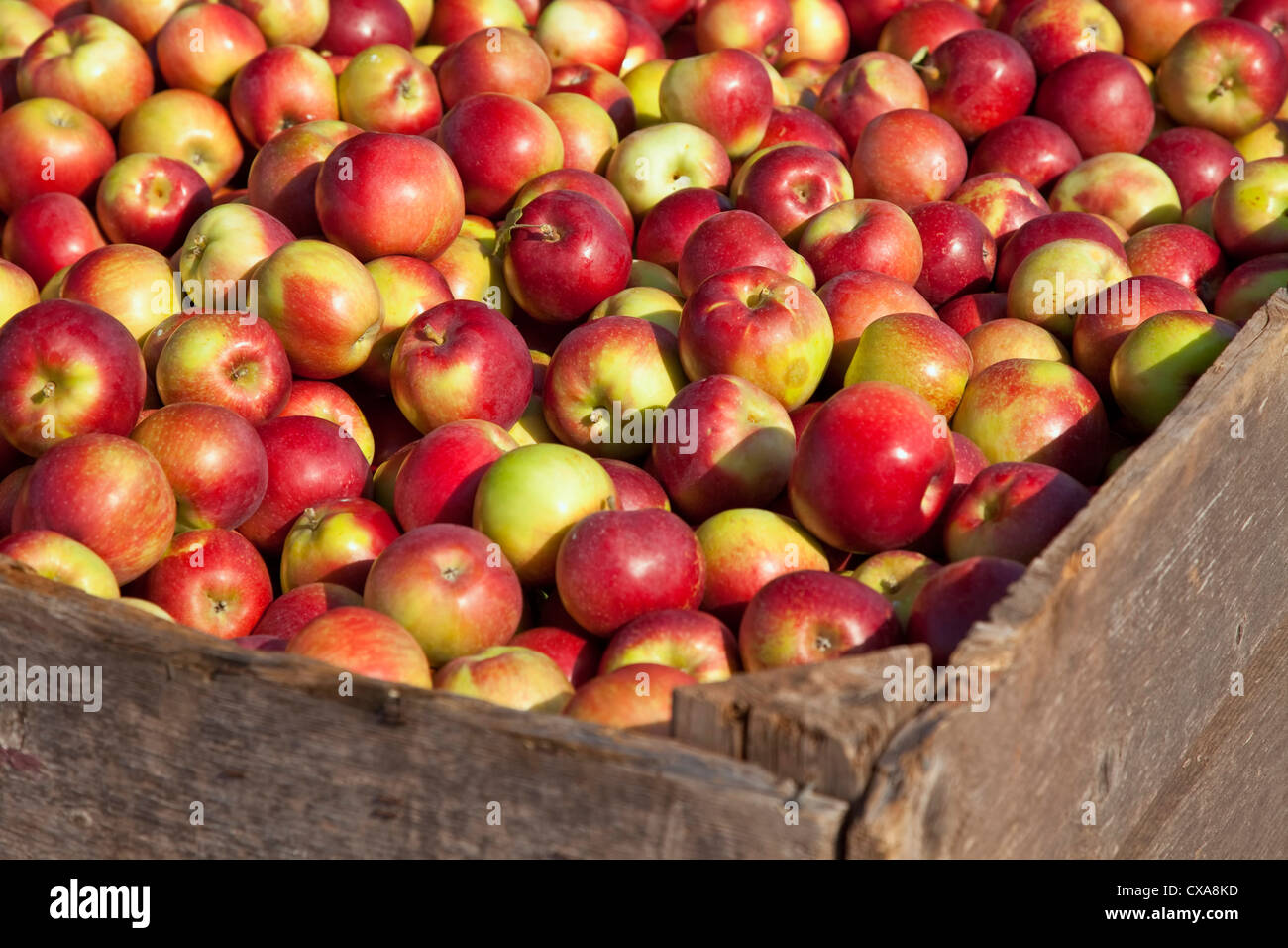 Bins And Warehouse High Resolution Stock Photography and Images Alamy