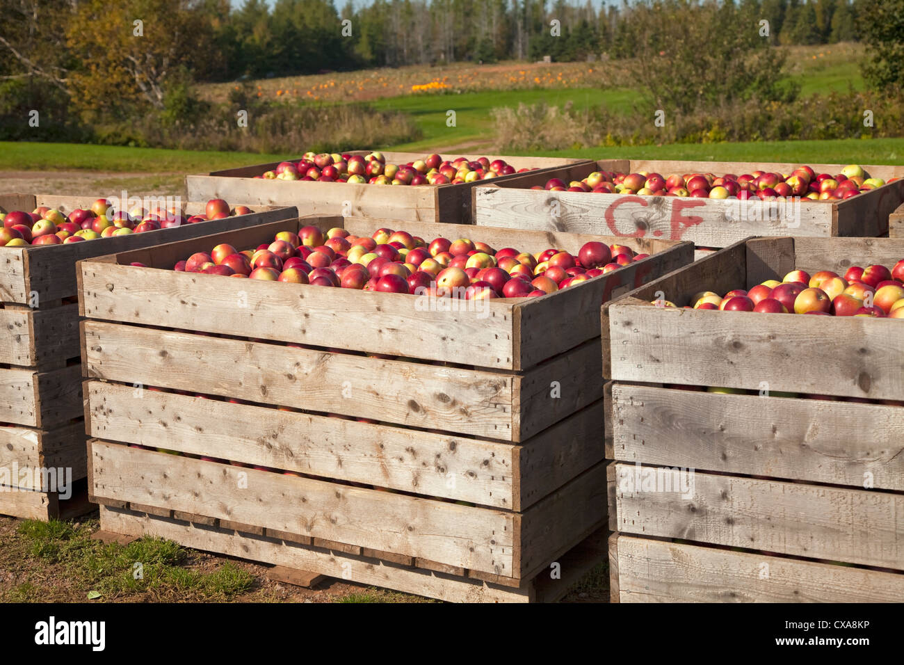 Bins And Warehouse High Resolution Stock Photography and Images Alamy