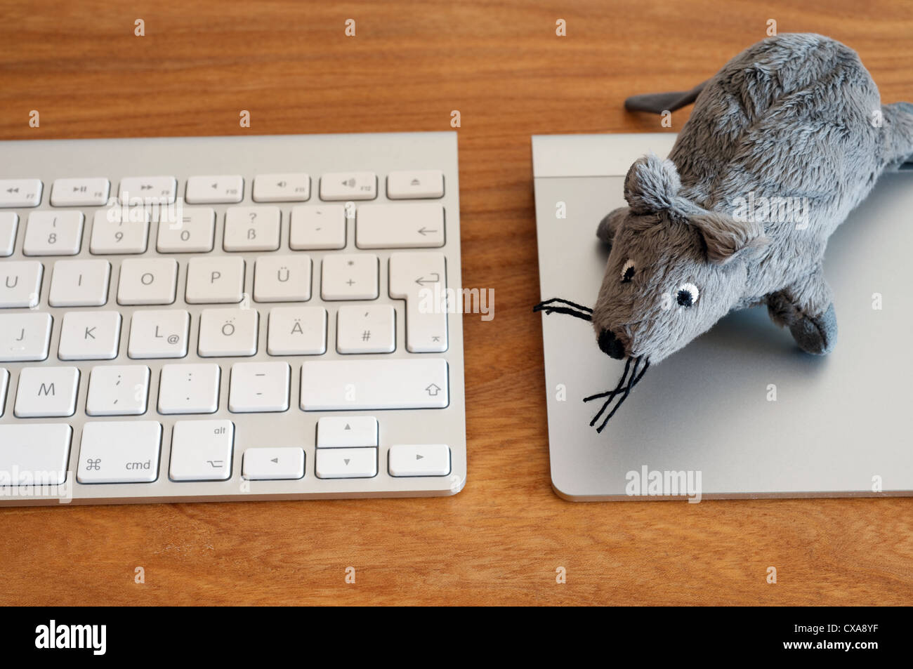 Apple computer keyboard and trackpad with toy mouse Stock Photo Alamy
