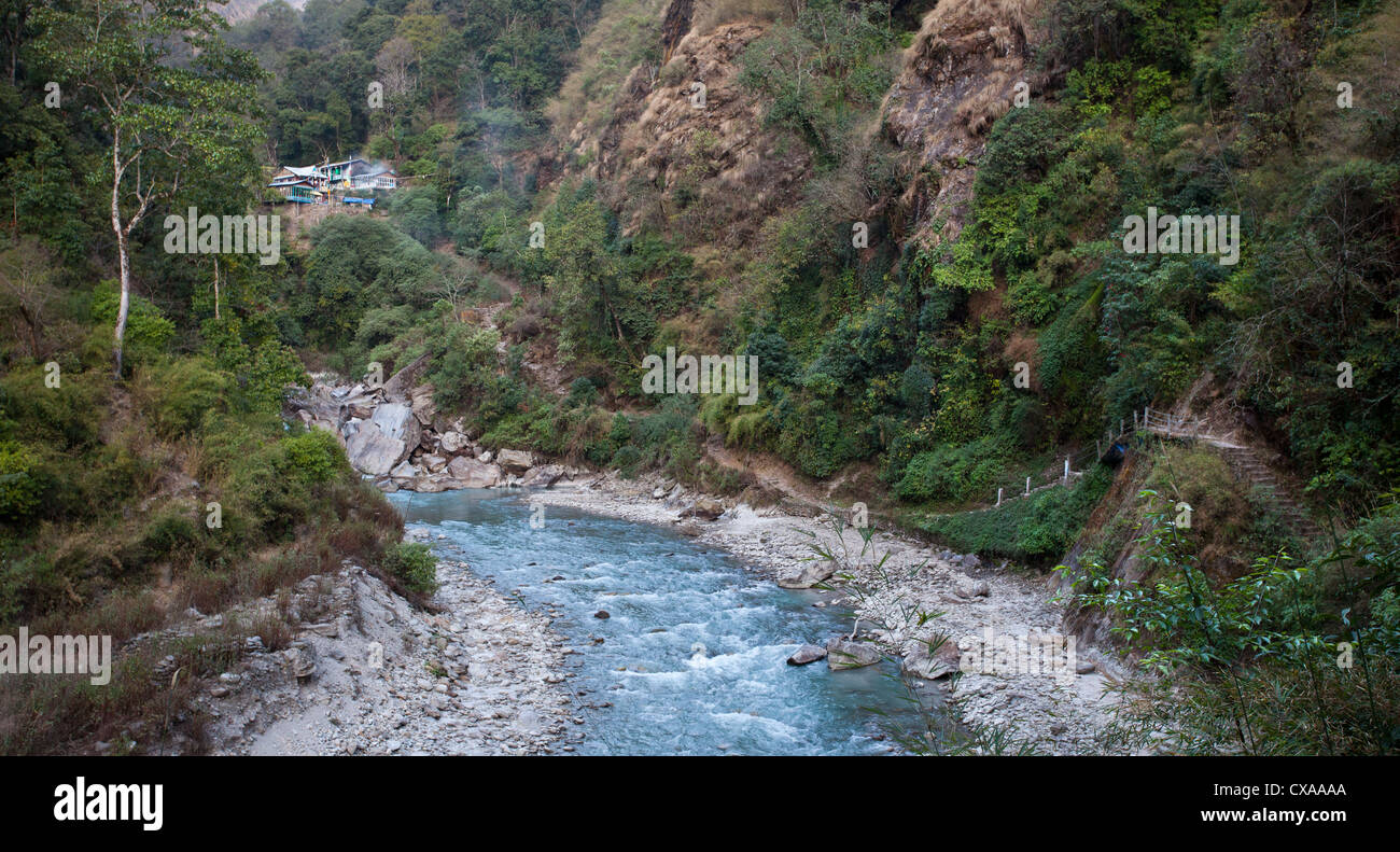 View of Pahiro and the Langtang River, Langtang Valley, Nepal Stock Photo