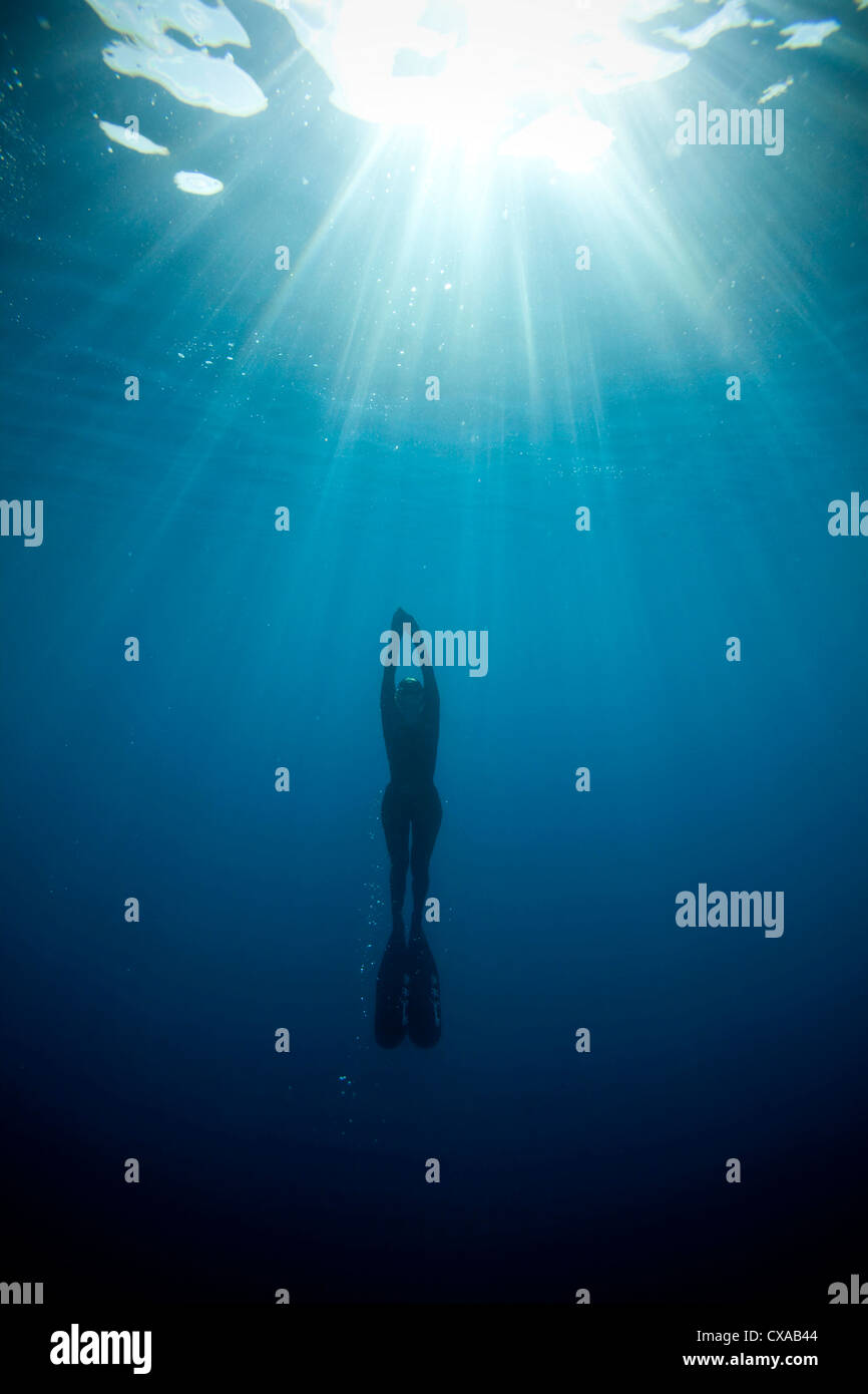 Skin diver hires stock photography and images Alamy