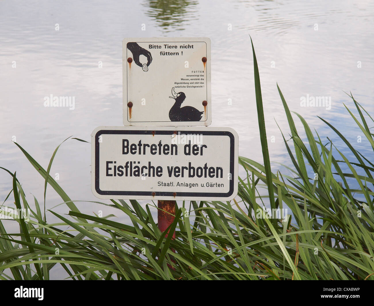Do not feed the ducks sign in German Stock Photo