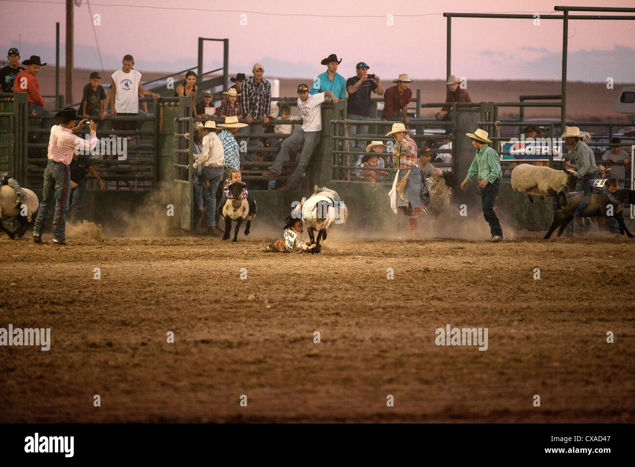 Shoshoni Labor Day Rodeo 2012 Stock Photo Alamy