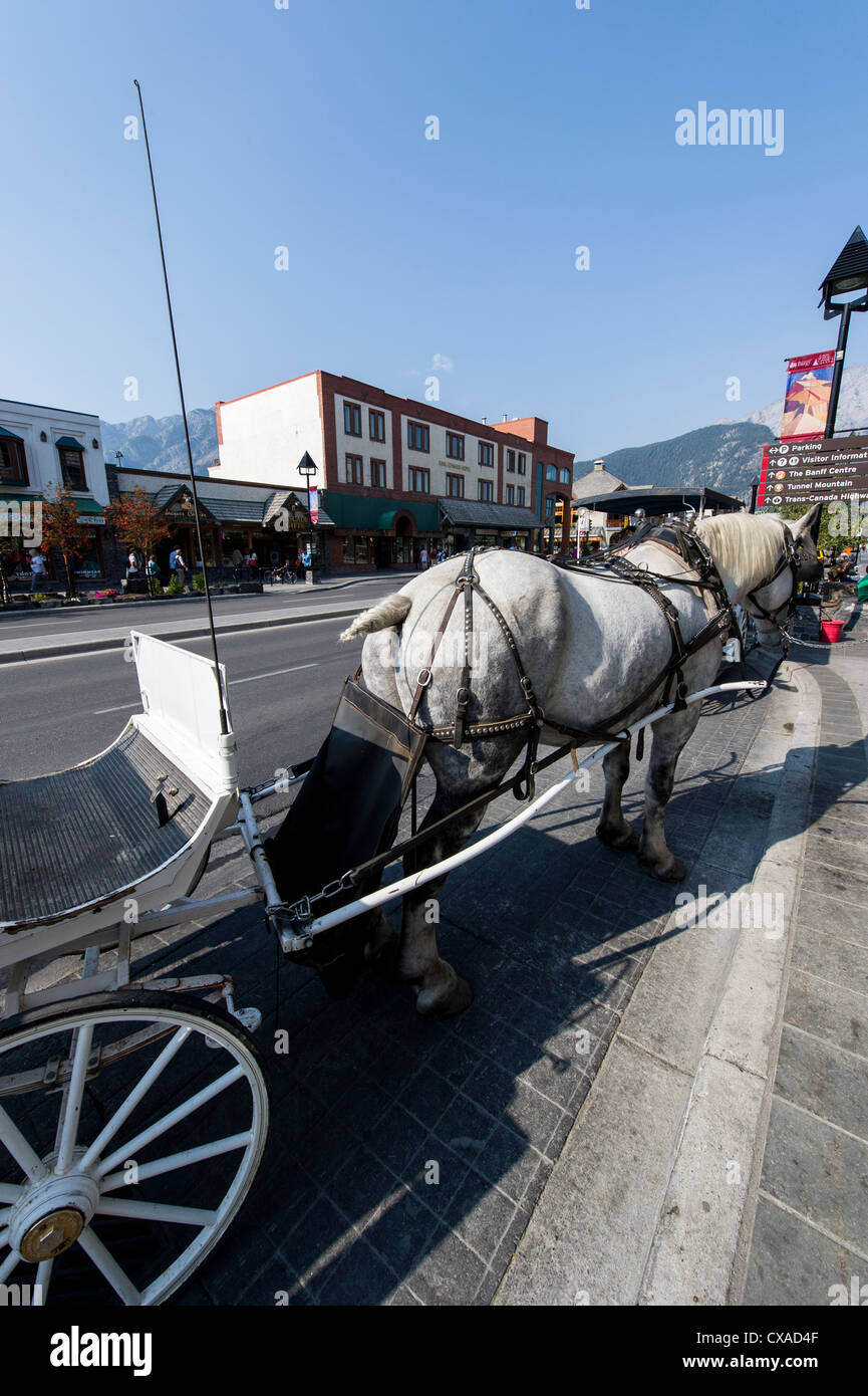 Horse carriage on Banff Avenue, Banff Alberta Stock Photo