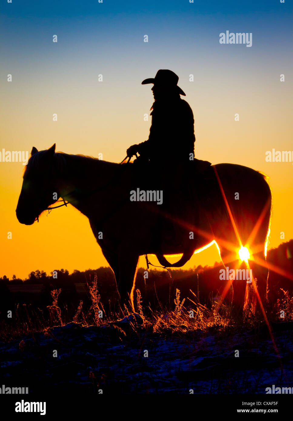 Cowboy on horse at sunrise on a ranch in Hulett, Wyoming Stock Photo