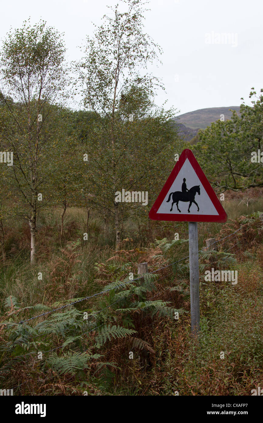 Horse riders warning sign hi-res stock photography and images - Alamy