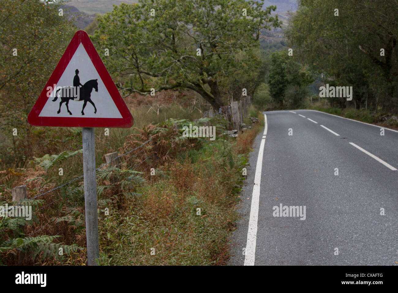Horse riders warning sign triangle in Snowdonia Stock Photo - Alamy