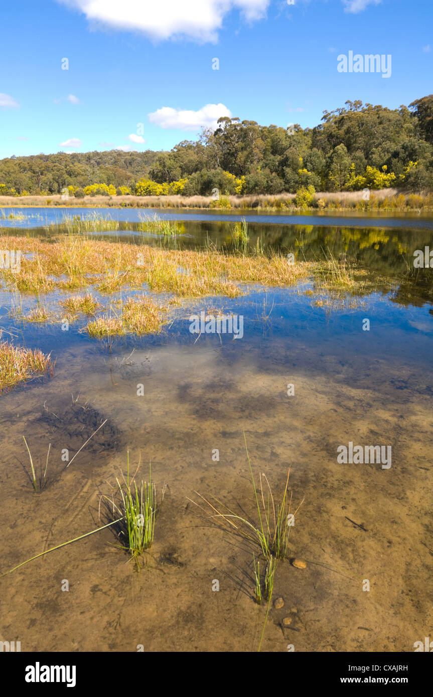 Thirlmere Lakes, New South Wales, Australia Stock Photo