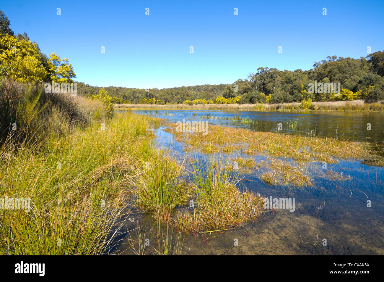 Thirlmere Lakes, New South Wales, Australia Stock Photo