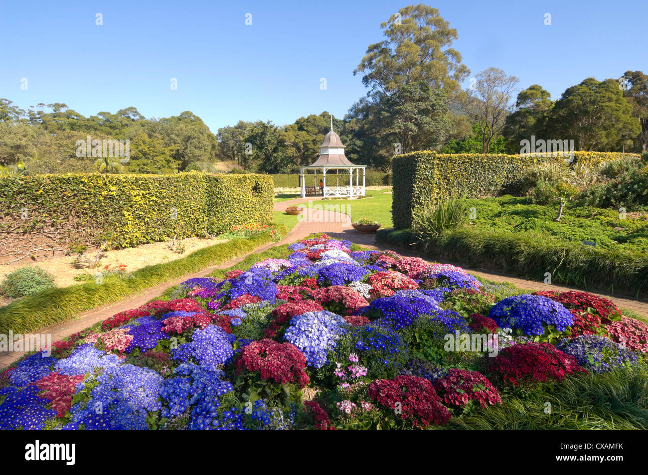 Wollongong Botanic Gardens, New South Wales, Australia Stock Photo Alamy