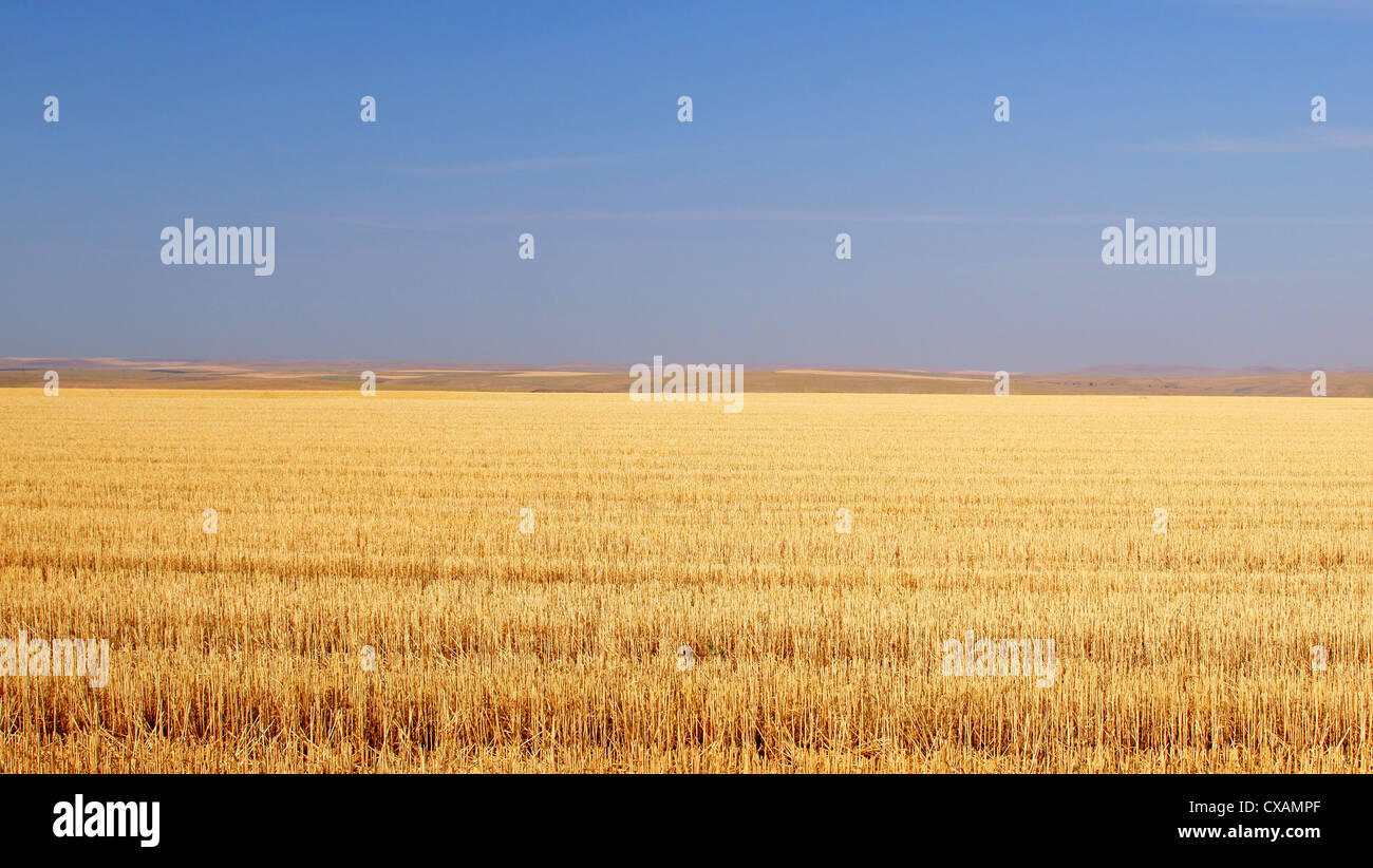 Pendleton Oregon High Resolution Stock Photography and Images - Alamy