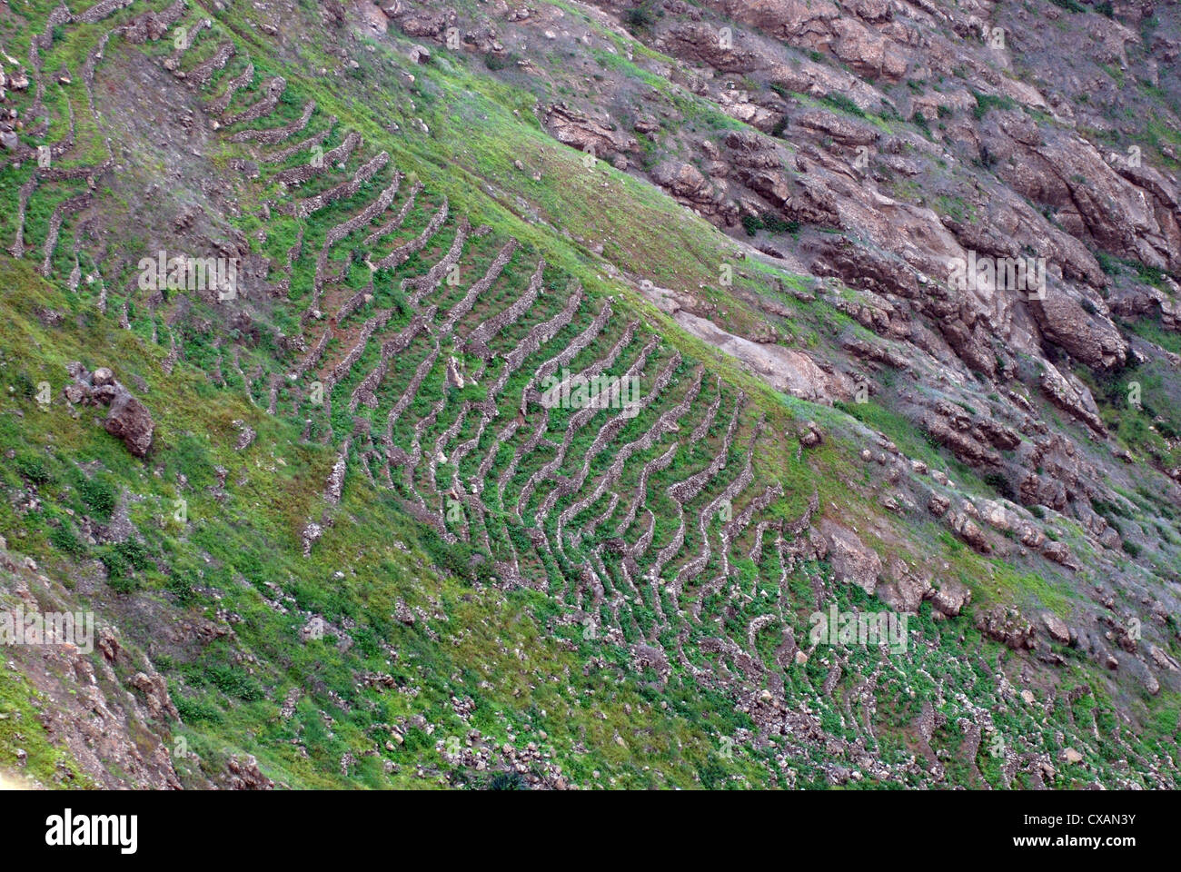 Terrace farming steep hi-res stock photography and images - Alamy