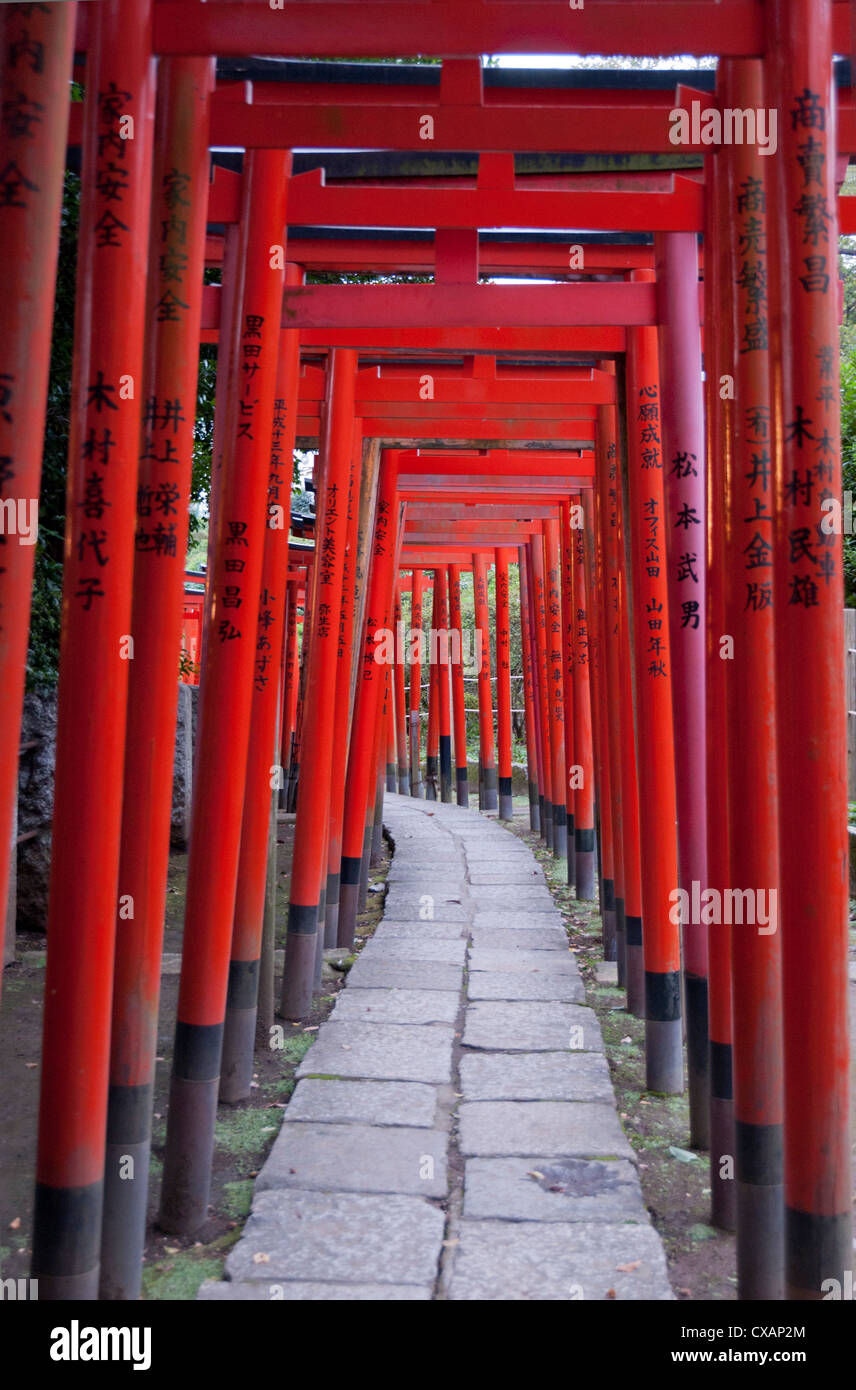 Torii At The Nezu Jinja Shrine Tokyo Japan Asia Stock Photo Alamy
