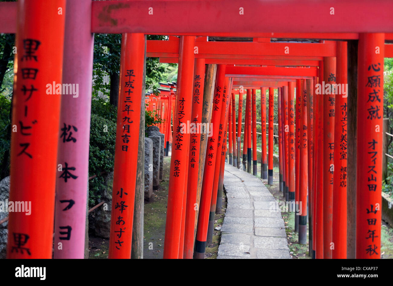 Torii At The Nezu Jinja Shrine Tokyo Japan Asia Stock Photo Alamy