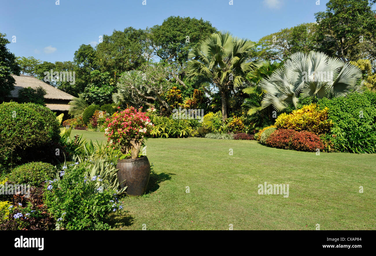 A tropical garden with colorful borders around a large lawn