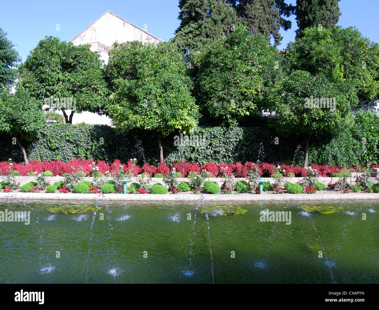 Formal Moorish water garden in Alcazar de los Reyes Cristianos, Jardines de Alcazar, Cordoba. Stock Photo