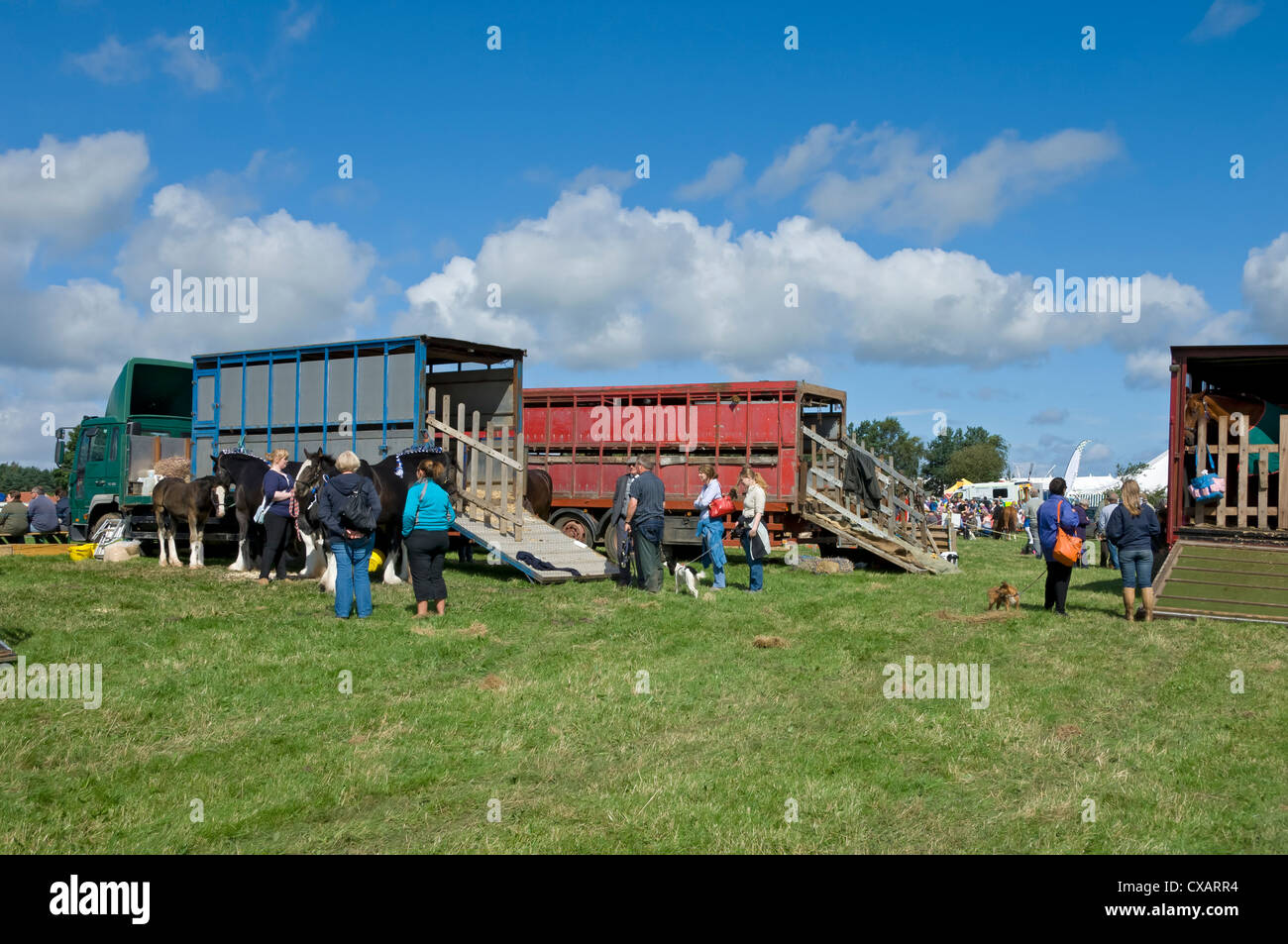 Horses Horse boxes transport at Egton Show in summer North York Moors