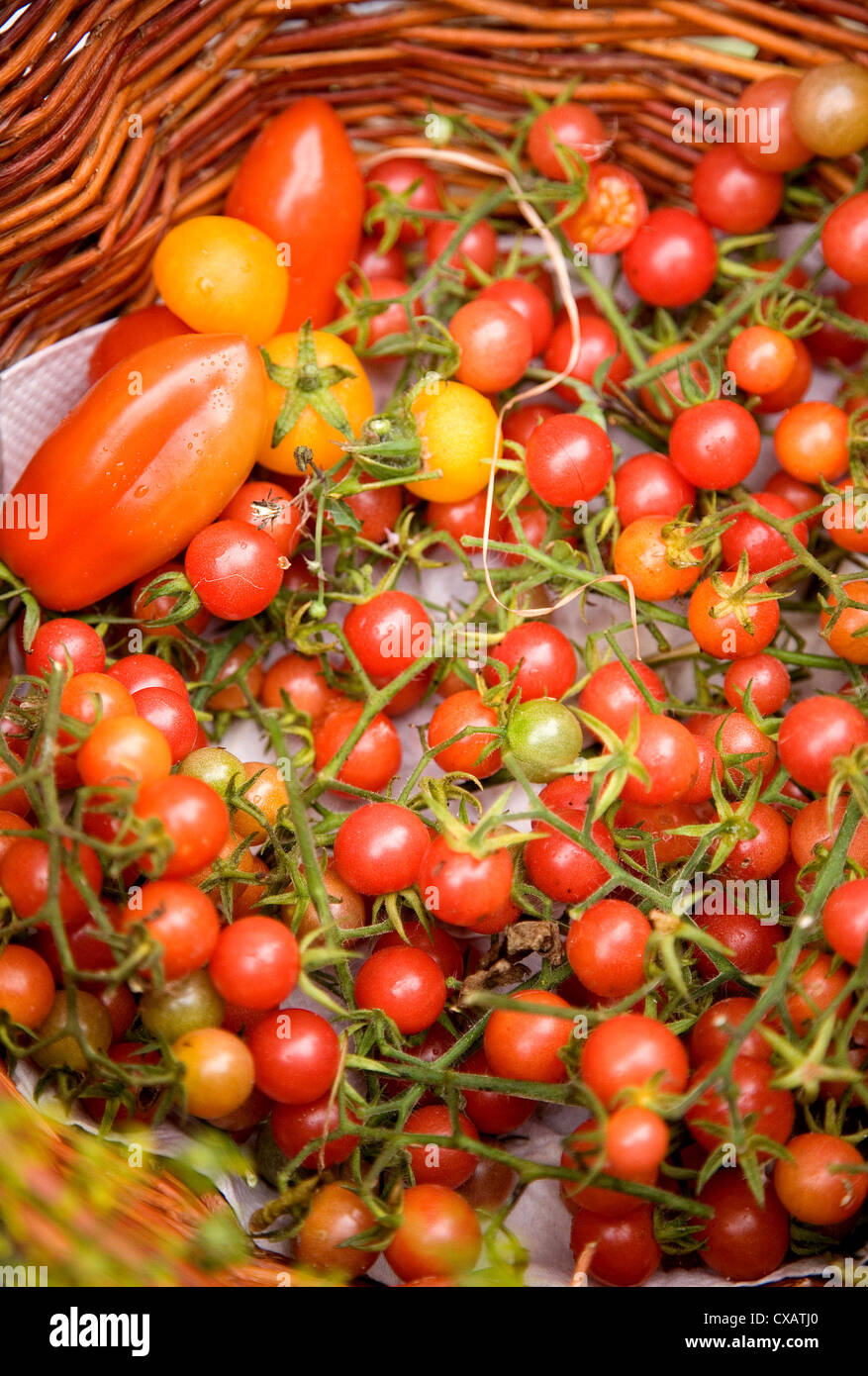 Riedlingen, tomatoes at a farmers market Stock Photo