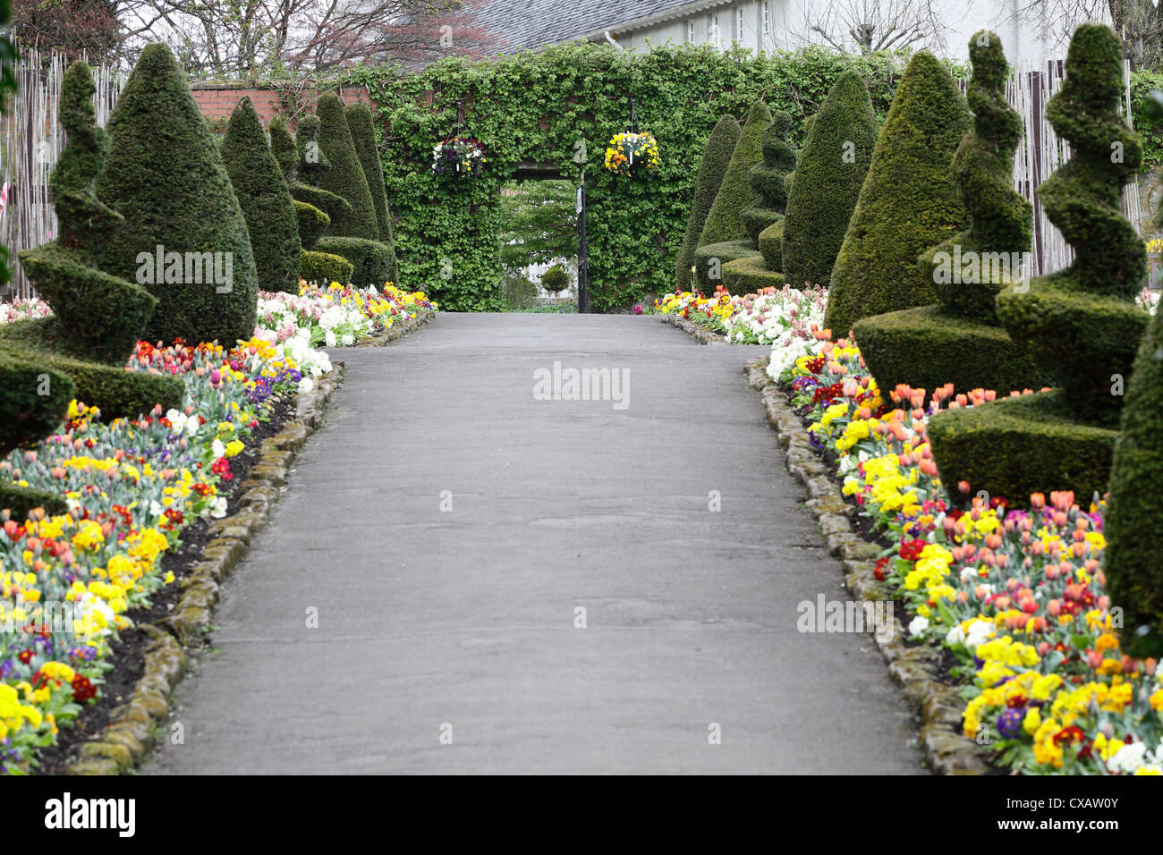 A path through bedding plants in the Walled Garden in Bellahouston Park Glasgow Scotland UK Stock Photo