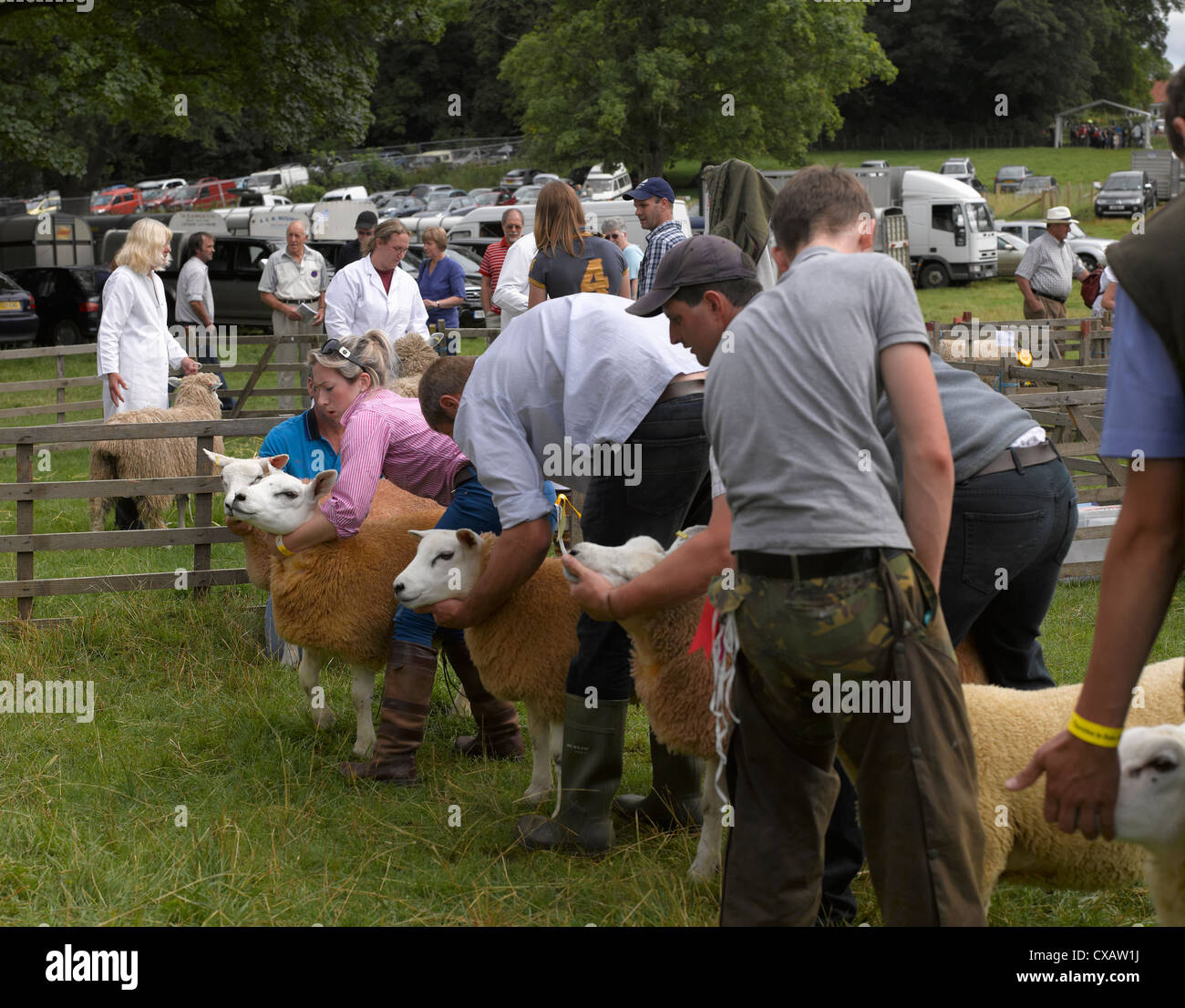 Farmers showing Texel sheep at Thornton Le Dale Annual Show in summer