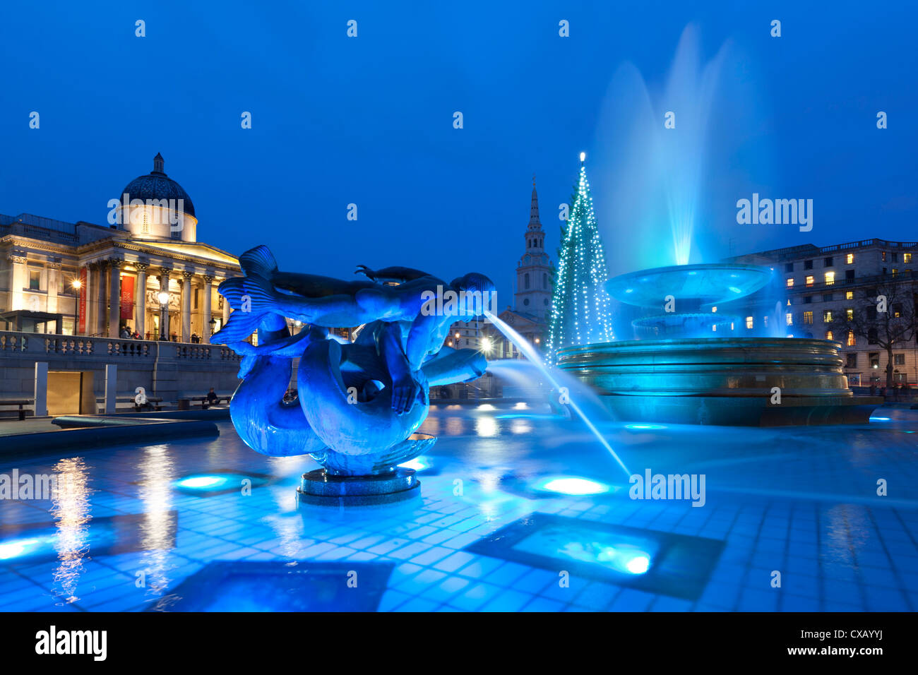 Trafalgar square christmas tree hires stock photography and images Alamy