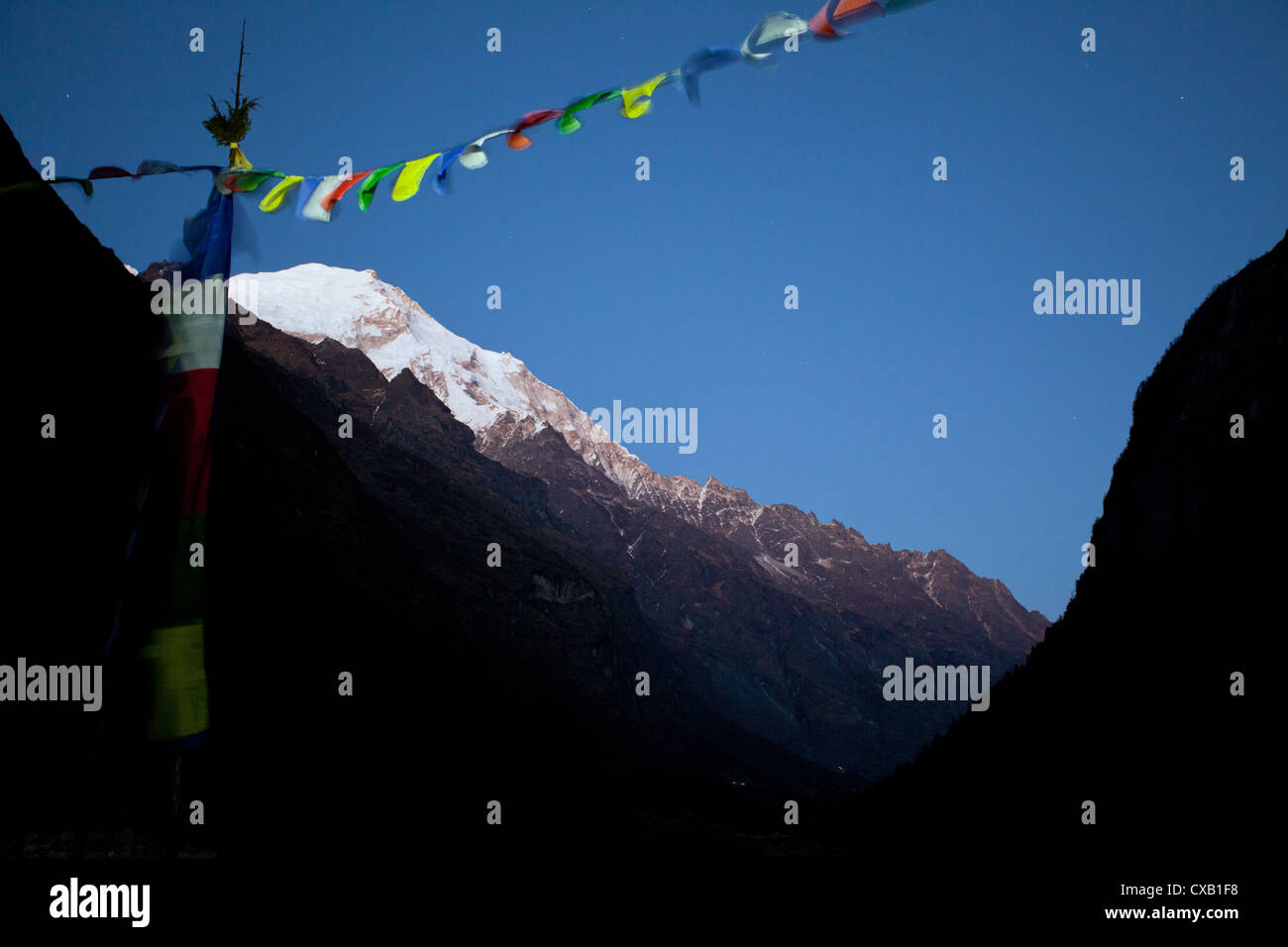 Buddhist prayer flags blowing in the wind with a snowcapped mountain in the distance, Langtang Valley, Nepal Stock Photo