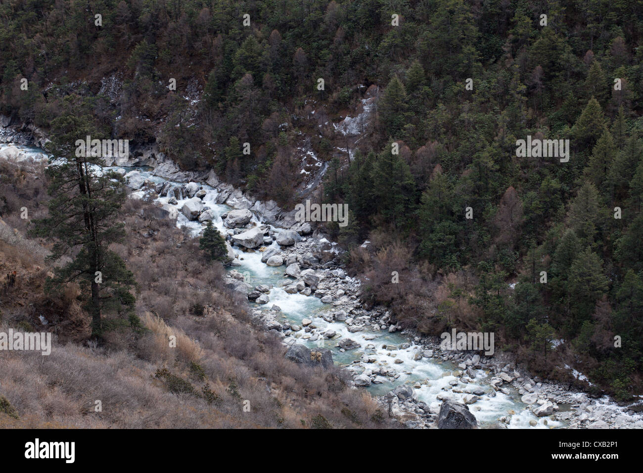 Mountain river flowing through the Langtang Valley, Nepal Stock Photo